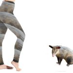 Piel de runcho, lo último en animal print