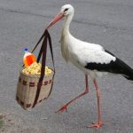 Mujer finge embarazo para entrar maíz pira al cine