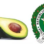 Mindefensa prohibe el uso de la palabra «aguacate»