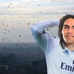 Cambios en patrones de sobrevuelo de pájaros en Madrid serían señal de llegada de Falcao