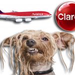 Avianca, Claro y olor a perro mojado, las cosas favoritas de los colombianos, revela encuesta