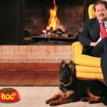 Perro de Angelino decidirá a qué alcaldía aspirará