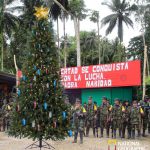 Con el árbol de navidad más grande del país, las Farc se suman a la celebración de la Navidad