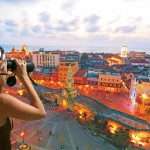 Reportan avistamiento de cartagenero en centro histórico de Cartagena