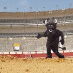 Animalistas se ofrecen para reemplazar toros en corridas