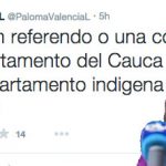 Paloma Valencia propone dividir en dos al Cauca