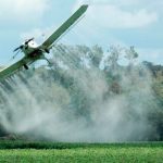 Incluirán coca en TLC con USA para quebrar a cultivadores y no tener que usar glifosato