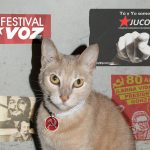 Por culpa de su gato, Marxista abre los ojos y abraza el sistema