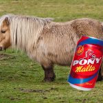 Bavaria desmiente que la Pony Malta esté hecha con carne de caballo