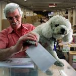 Amigos imaginarios, gatos y perros podrán votar plebiscito de la paz