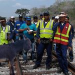 Bloquean tren de El Cerrejón por caso de zoofilia