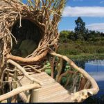 Encuentran nido de ladrones en humedal. Sería nueva especie