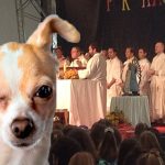Corte prohíbe expresión «perros en misa»