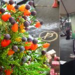 Germina milagroso árbol de tutti frutti en lugar de reguero de jugos