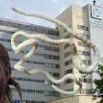 Animalista se aferra a su tenia