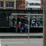 83% de los colados de Transmilenio están hastiados de tanta corrupción