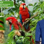 «Animales de parques naturales deberán pagar pensión y salud»: Mincomercio