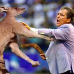 Última hora: Pinto se fue a los golpes con un canguro en Australia