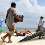 Con vendedores ambulantes y rumba de israelíes espantan a caimán del Tayrona