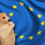 Unión Europea pide a colombianos dejar de pedir que les regalen cosas