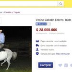 Se filtra chat de Álvaro Uribe