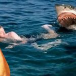 Feministas claman por incrementar la cuota de las mujeres en los ataques de tiburones