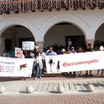 Animalistas piden detener masacre del mosquito del chikunguña