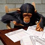 Policía captura banda que ponía a chimpancés a firmar planillas para candidatos