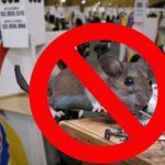 Consulta antitaurina incluye prohibir trampas para ratones