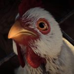 Nueva sanción a Doña Gallina por discriminar gallinas blancas