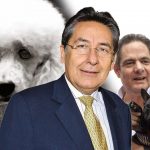 Fiscal captura perrita que no se dejó montar de perro de Vargas Lleras
