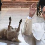 Papa Francisco aprueba iglesias pet friendly